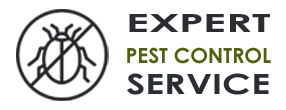 Expert Exterminator Co Seattle WA